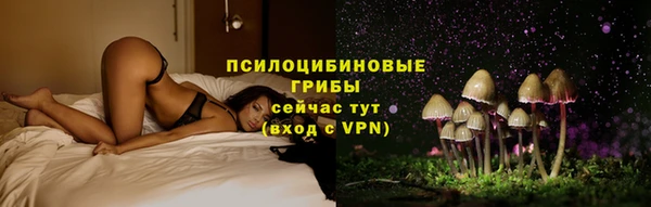 spice Абинск