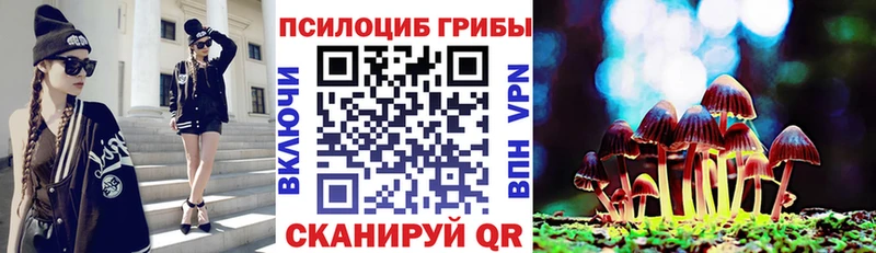 наркота  Анадырь  Псилоцибиновые грибы Magic Shrooms 